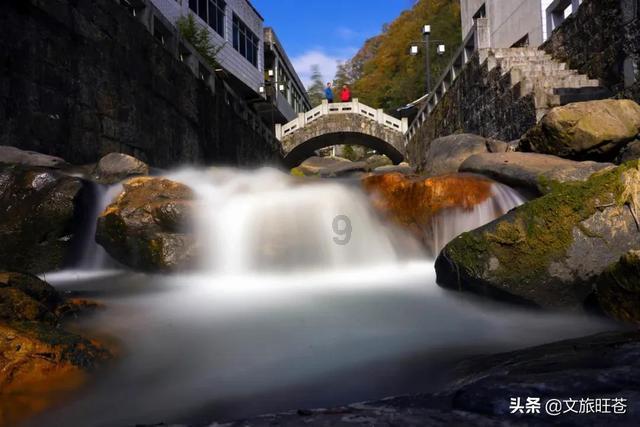 南北“互换串门”过年更热闹!深圳推多项活动迎新春旅游热潮